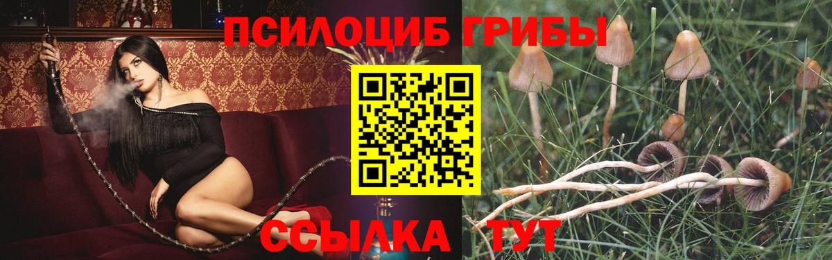 Псилоцибиновые грибы GOLDEN TEACHER  Псилоцибиновые грибы мухоморы  Вход с VPN  Костомукша 